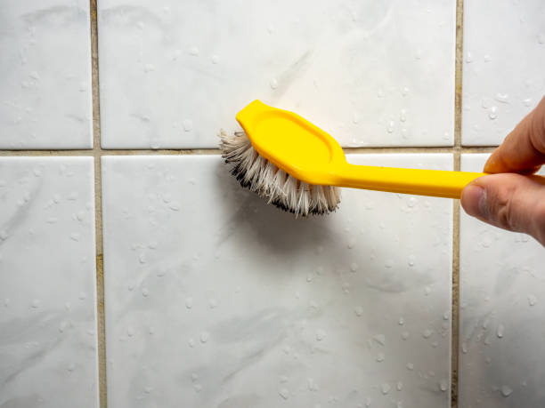 Best Black Mold Removal  in Redby, MN