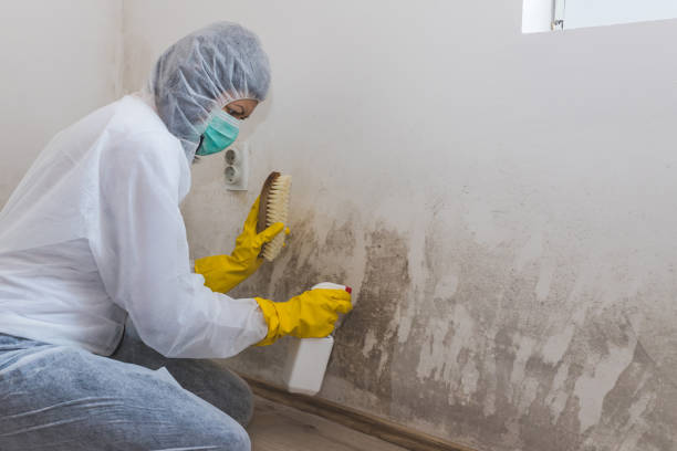 Best Mold Inspection  in Redby, MN
