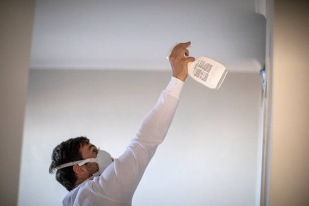 Best Mold Removal Specialists  in Redby, MN