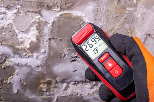Best Office Mold Removal Services  in Redby, MN