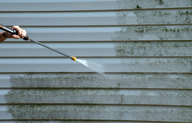 Best Mold Damage Repair  in Redby, MN