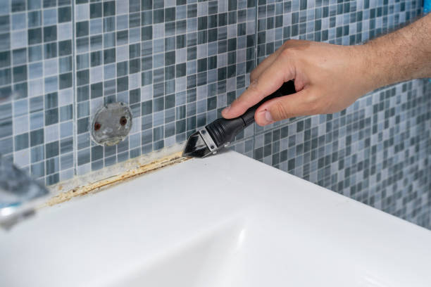 Best Mold Remediation  in Redby, MN
