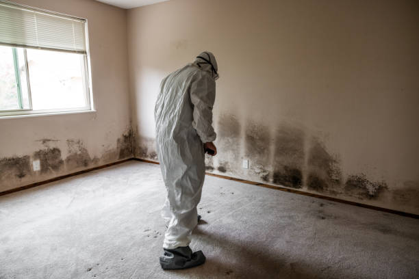 Best Mold Testing  in Redby, MN